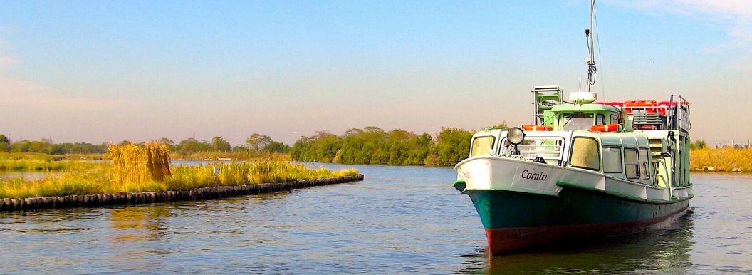 Alla Scoperta della Laguna Sud di Venezia: Natura, Tradizione e Sostenibilità