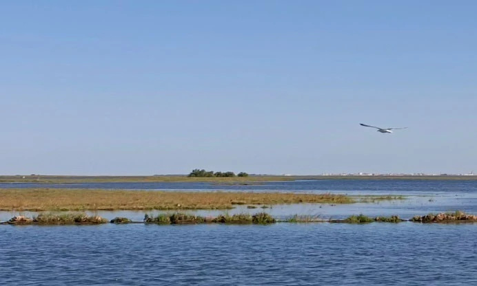 Barene e superfici d'acqua lagunari