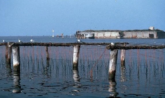 Forte ottagonale di Ca' Roman visto dall'acqua