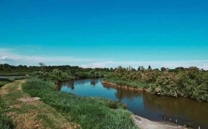 I canali e la vegetazione dell'area naturalistica Giarona