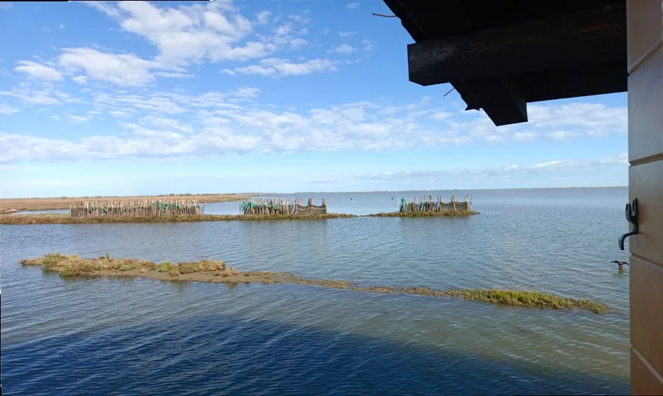 Reti da pesca sulle barene