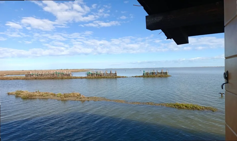 Reti da pesca stese sulle barene della Laguna Sud