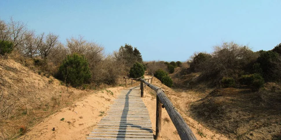 Sentiero tra le dune dell'Oasi di Ca' Roman