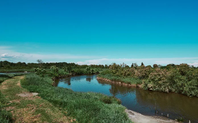 Canali e vegetazione nell'area naturalistica della Giarona